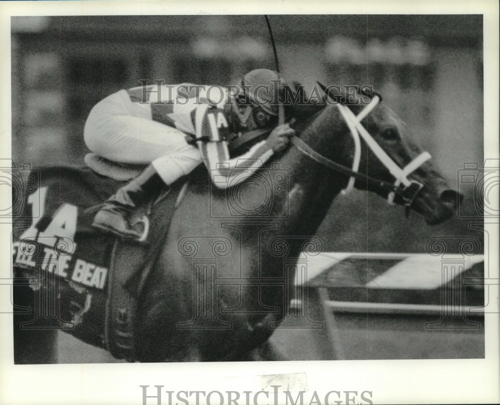 1990 Press Photo Feel the Beat wins Ballerina at Saratoga Raceway in New York- Historic Images