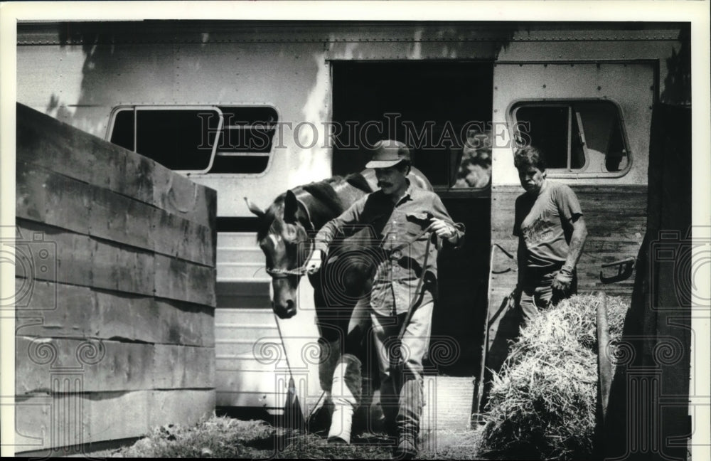 1990 Press Photo Horse unloaded from trailer at Saratoga Raceway, New York- Historic Images