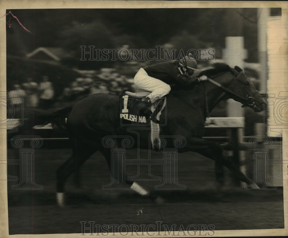 1987 Press Photo #1 Polish Navy in full sprint at Saratoga Race Track, New York- Historic Images