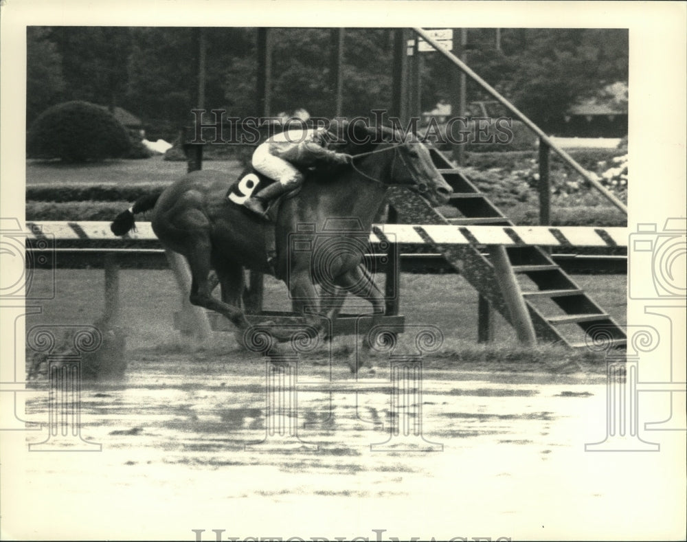 1987 Press Photo #9 Lo Magical wins the second race at Saratoga Race Track, NY- Historic Images