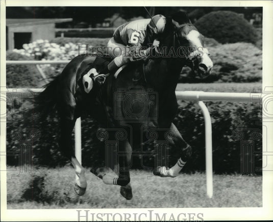 1987 Press Photo