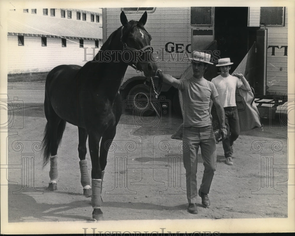 1971 Press Photo Tiogas Lightning is unloaded from van by handler at Saratoga- Historic Images