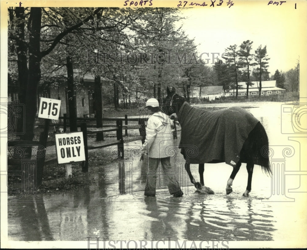 1977 Press Photo Trainer Linda Flynn walks with horse in water at Saratoga- Historic Images