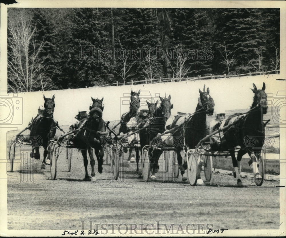 1976 Press Photo Drivers with horses round the track at Saratoga Harness, NY- Historic Images