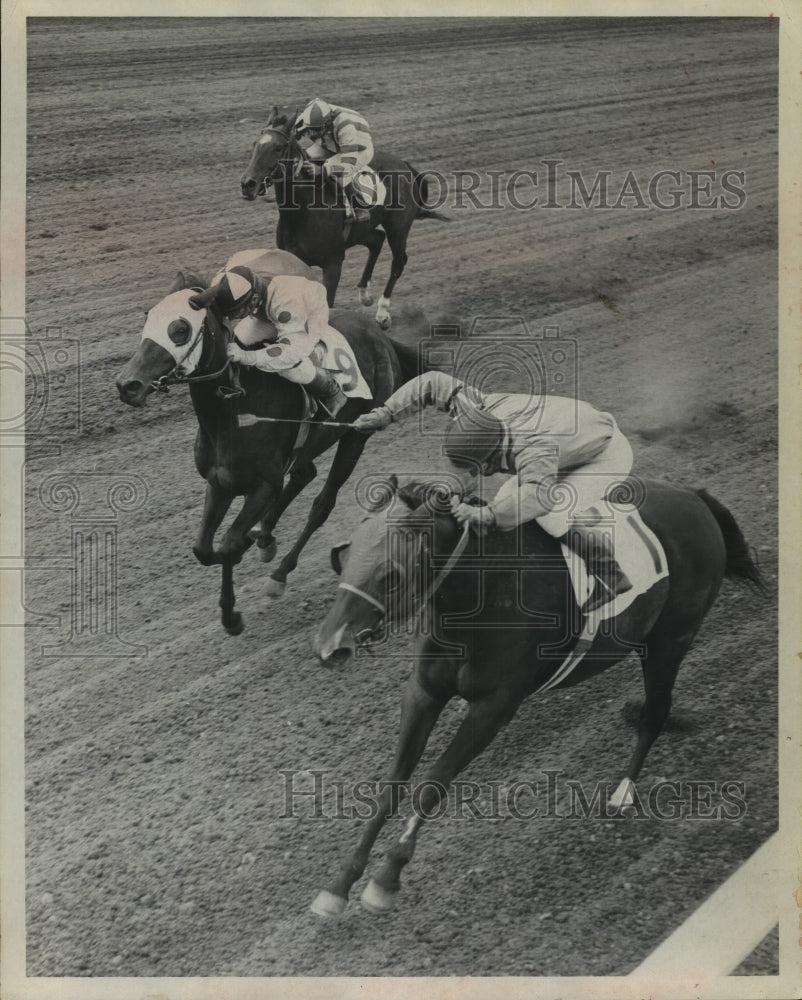 1965 Press Photo Beauway (center) races two other races horses - tus01803- Historic Images