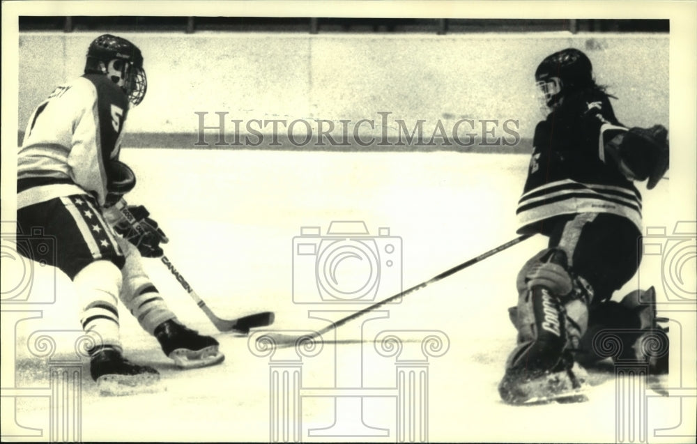 1988 Press Photo College hockey game, Rensselaer Polytechnic Institute, Troy, NY- Historic Images