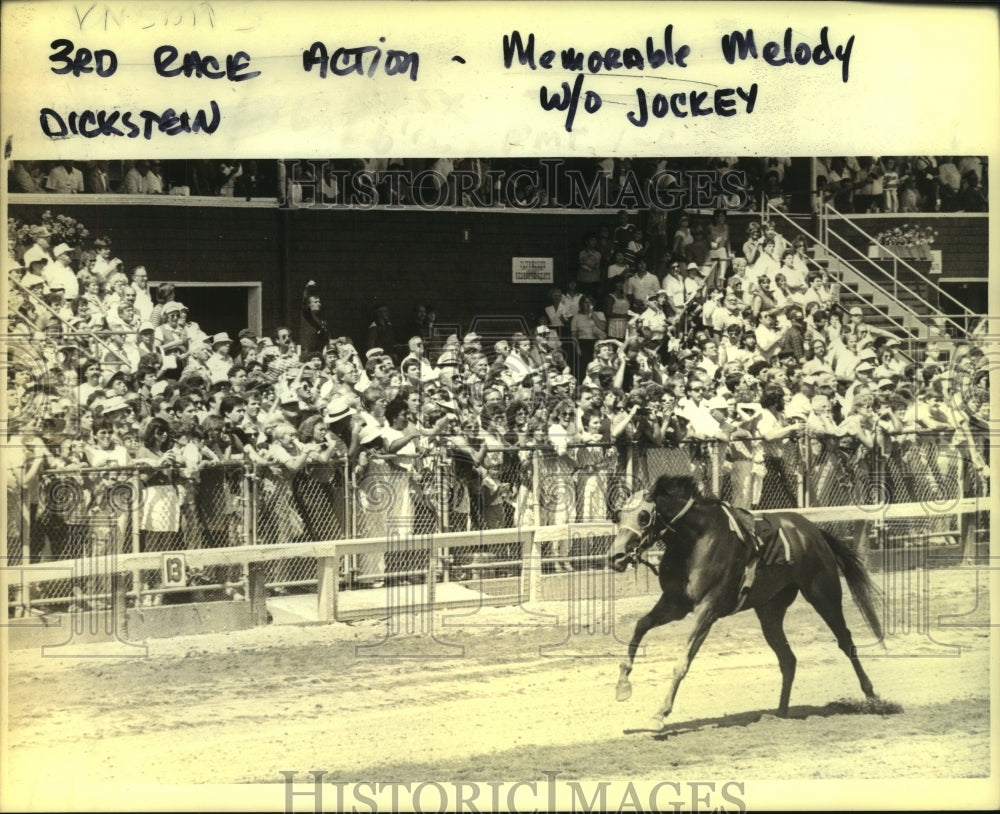 1985 Press Photo Horse runs without jockey at Saratoga Raceway, New York- Historic Images