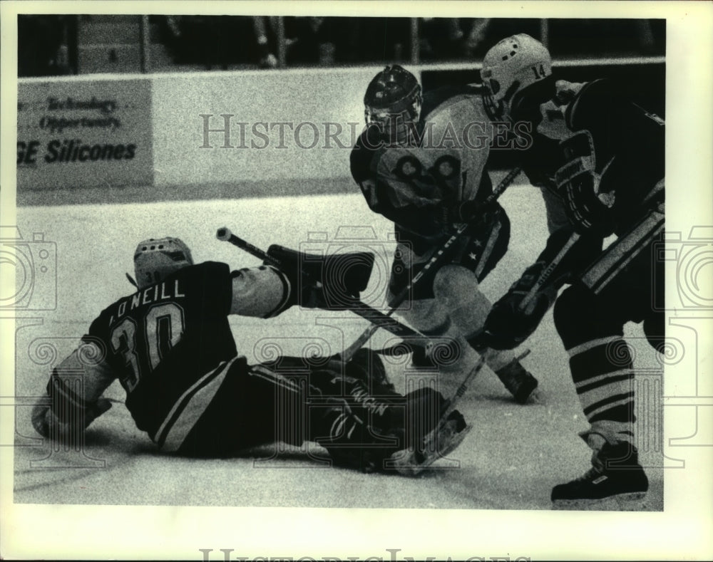 1989 Press Photo College hockey game, Rensselaer Polytechnic Institute, Troy, NY- Historic Images