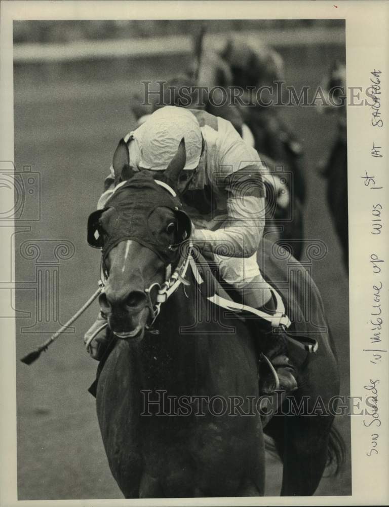 1985 Press Photo Sun Sounds with McGlione up wins first at Saratoga Track, NY- Historic Images