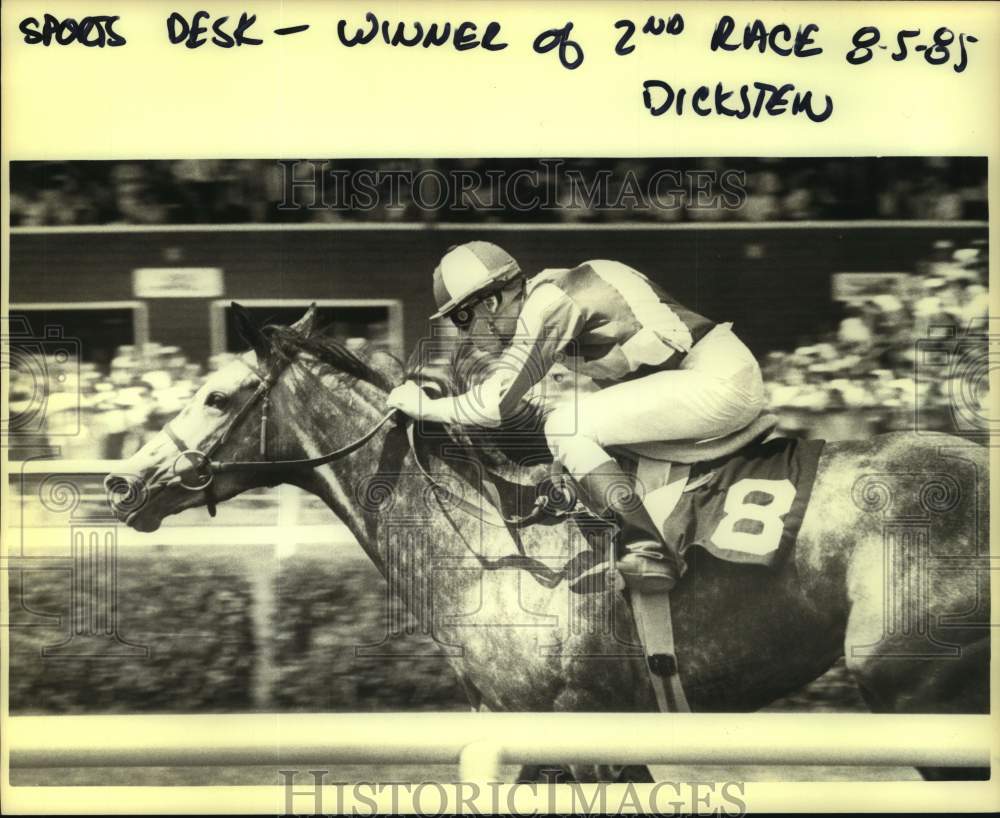 1985 Press Photo The 8 horse wins 2nd race at Saratoga Raceway in New York- Historic Images