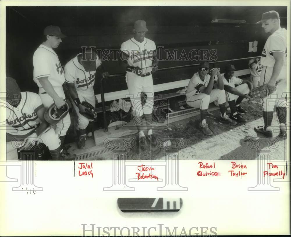 Press Photo Harrisburg Senators players in dugout at Heritage Park, Colonie, NY- Historic Images