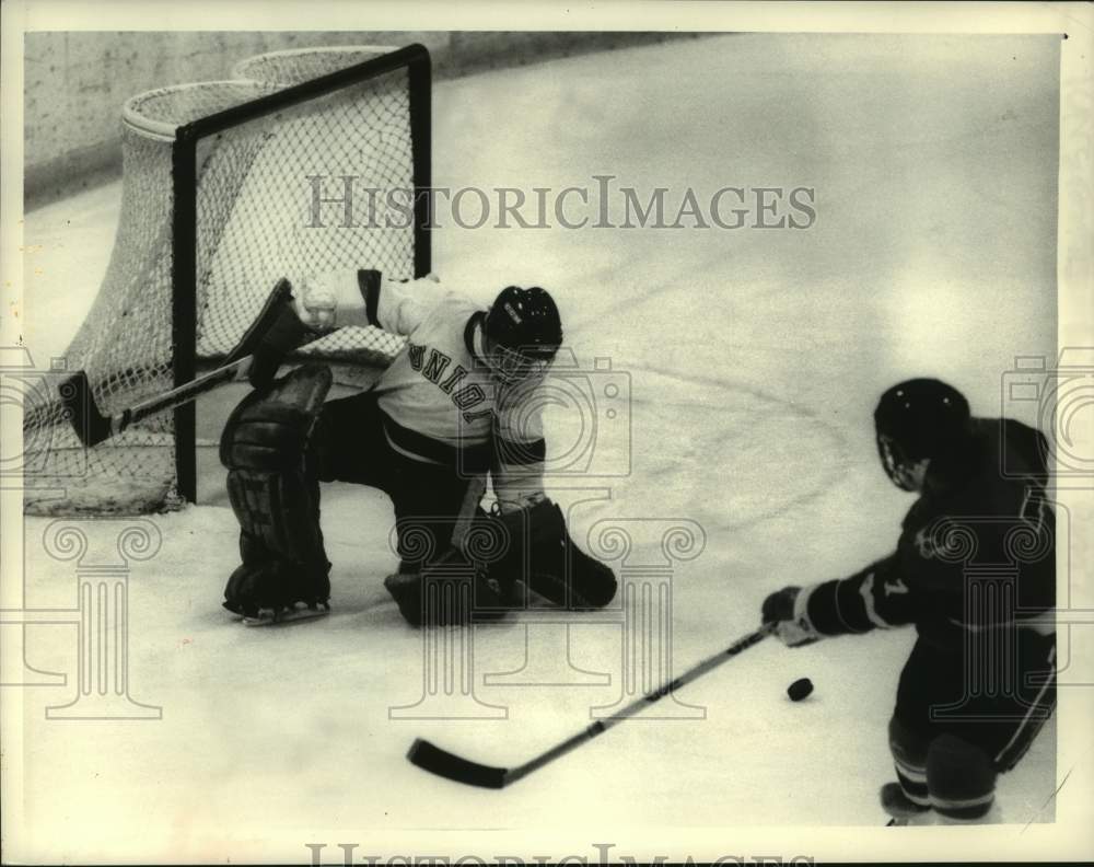 1983 Press Photo Union College vs. Princeton University hockey, Schenectady, NY- Historic Images