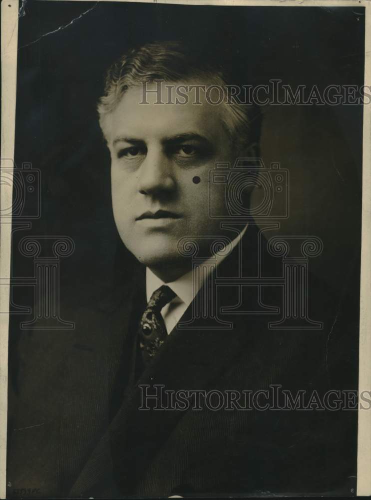 Press Photo Congressman A. Mitchell Palmer of Pennsylvania - tuw01945