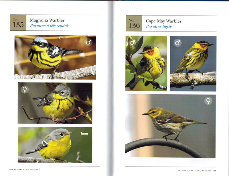 Load image into Gallery viewer, Signed Limited Edition: Summer Birds of Percé/Les Oiseaux Estivants de Percé
