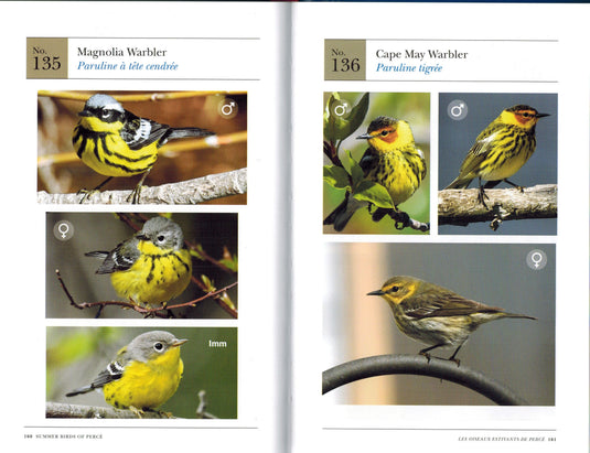 Signed Limited Edition: Summer Birds of Percé/Les Oiseaux Estivants de Percé