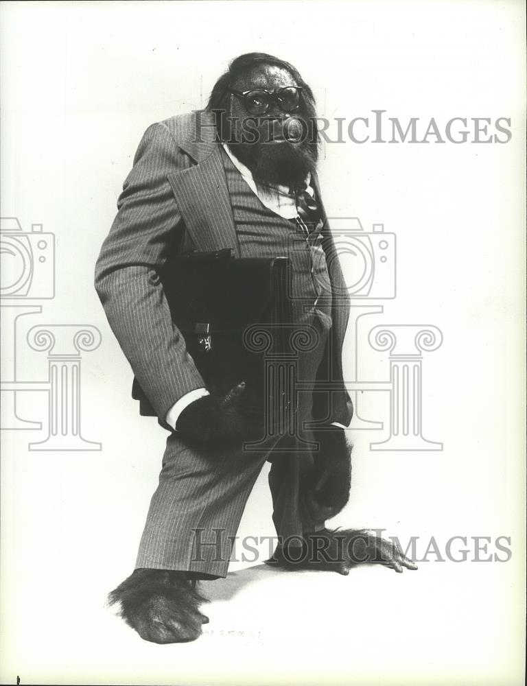 1983 Press Photo C.J. the Orangutan stars in Mr. Smith Goes to Washington. - Historic Images
