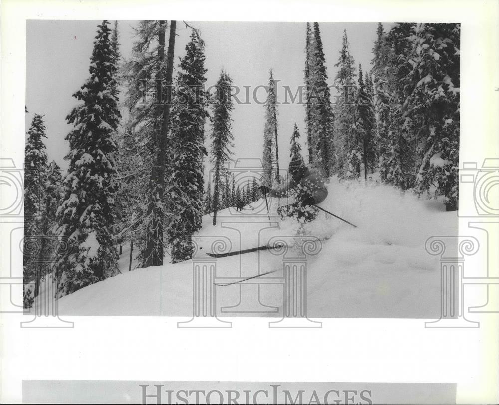 1992 Press Photo Greg Paltinger skis at Whitewater Ski Area in Nelson, Canada - Historic Images