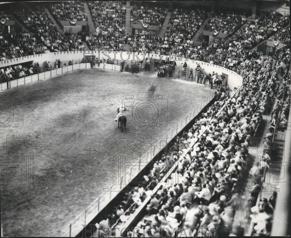 1972 Press Photo A packed crowd attend the Diamond Spar Rodeo at the Coliseum - Historic Images