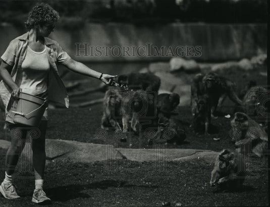 1993 Press Photo Japanese Macaques with Debbie Strzelecki at Milwaukee Zoo - Historic Images