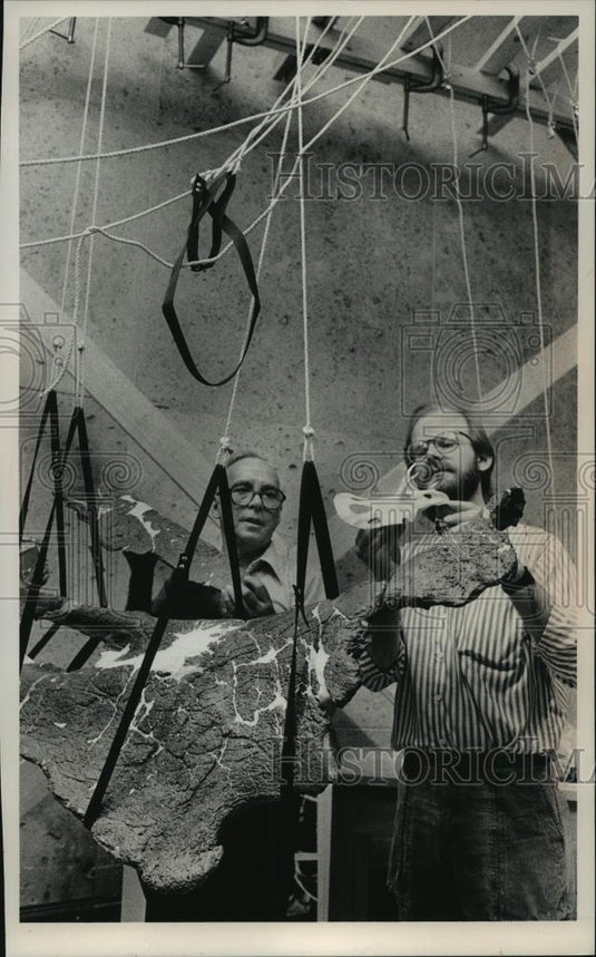 1989 Press Photo A dinosaur being put together for the Milwaukee Public Museum. - Historic Images