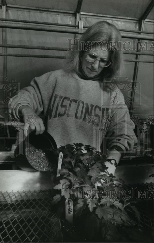 1995 Press Photo Milwaukee Area Technical College Student Lynn Goldstein - Historic Images