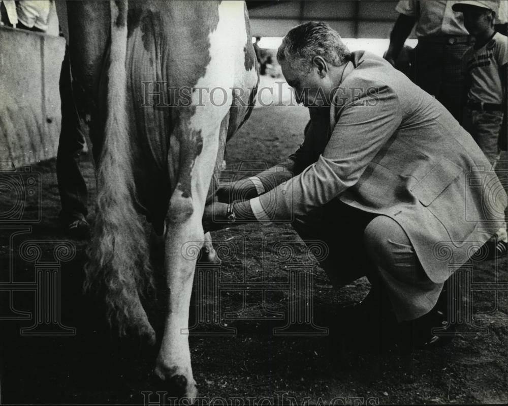 1981 Press Photo Governor Dreyfus milks a cow at State Fair - mja93634 - Historic Images