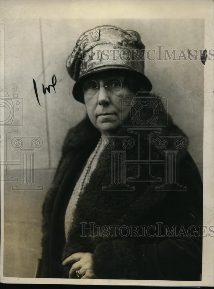 1928 Press Photo Mrs. Clem L. Shaver - nep06946 - Historic Images