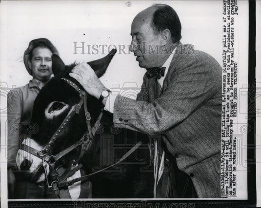 1956 Press Photo Adlai Stevenson Pulls on Donkey's Ear for Luck - nep08707 - Historic Images