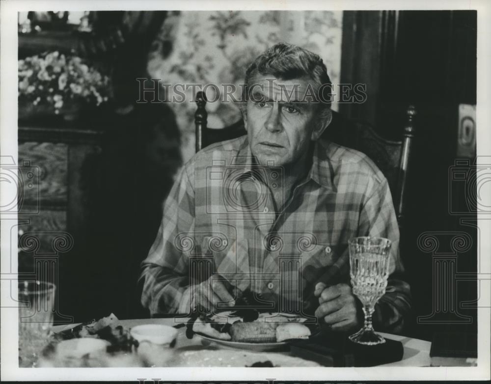 1980 Press Photo Actor Andy Griffith  - spp28518 - Historic Images