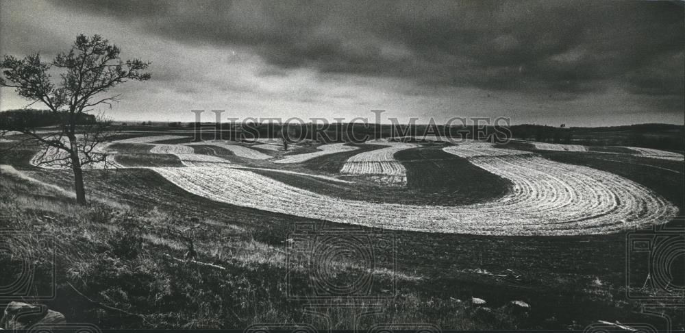 1981 Press Photo Plowing technique to prevent erosion in Vernon County WIsconsin - Historic Images