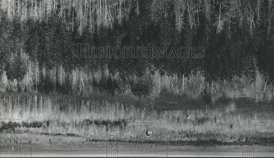 1983 Press Photo Chequamegon National Forest Fire Tower in Taylor County - Historic Images
