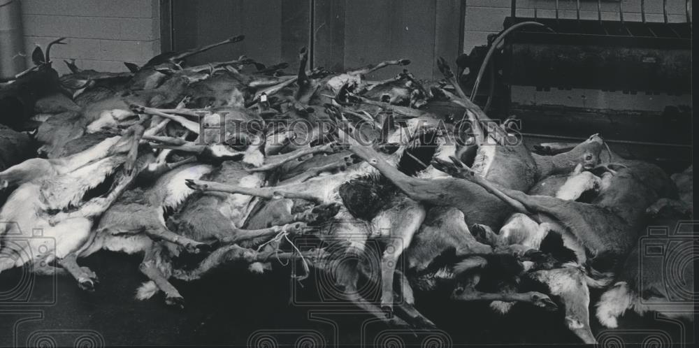 1985 Press Photo Hunted Deer to be Processed at Wisconsin&#39;s Franklin Meats - Historic Images