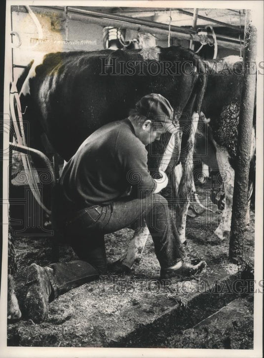 1989 Press Photo Michael Baltus places a milking unit on one of his Holsteins - Historic Images