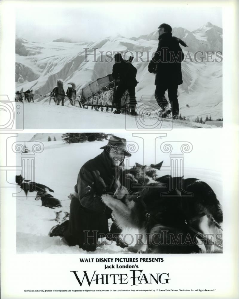 1991 Press Photo Scenes from "White Fang" - spp22967 - Historic Images