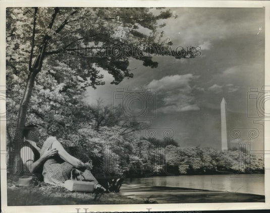 1962 Press Photo Mr. an Mrs. George T. Laffin at Tidal Basin, Cherry Blossoms - Historic Images
