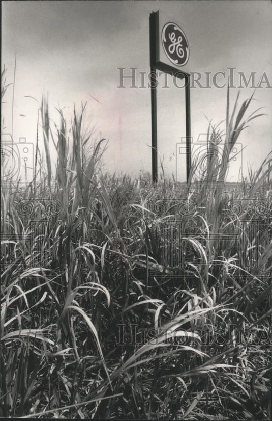 1989 Press Photo General Electric Sign Over Prairie Grass in Waukesha County - Historic Images