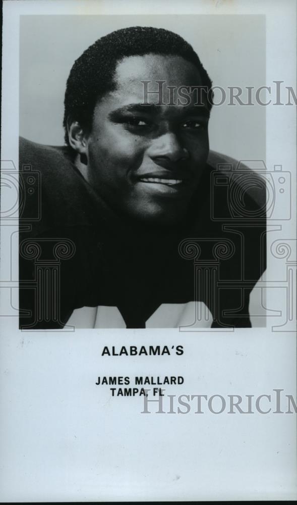 1981 Press Photo Alabama&#39;s football player James Mallard from Tampa Florida. - Historic Images