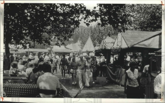1990 Press Photo Cincinnati, Ohio festival gathers thousands of visitors. - Historic Images