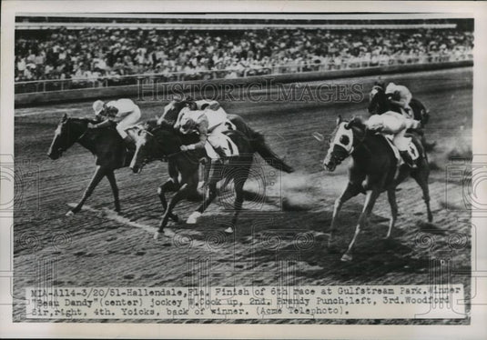 1951 Press Photo "Beau Dandy" and Jockey W. Cook Win 6th Race at Gulfstream Park - Historic Images