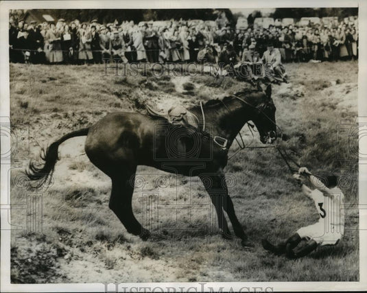 1955 Press Photo H Coriat thrown from Torloisk at Windsor Steeplechase - Historic Images