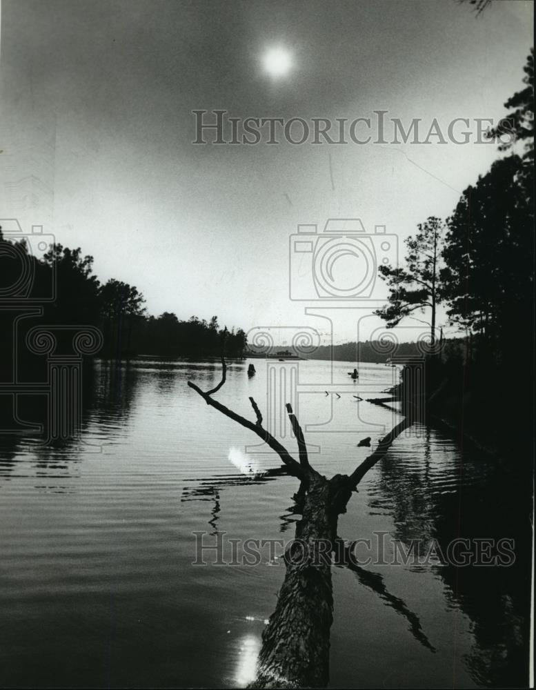 1978 Press Photo Alabama-Canoes glide down Oak Mountain River on an Autumn day. - Historic Images
