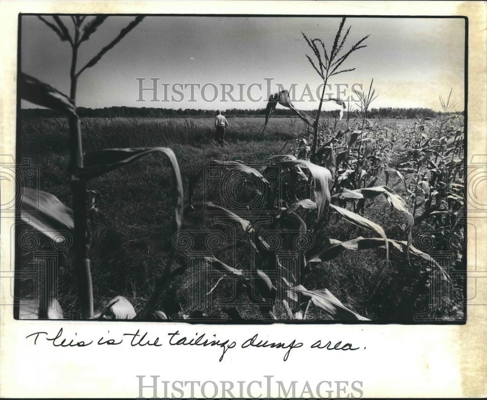 1982 Press Photo Farm fields to become tailing dump area for Kennecott mines. - Historic Images