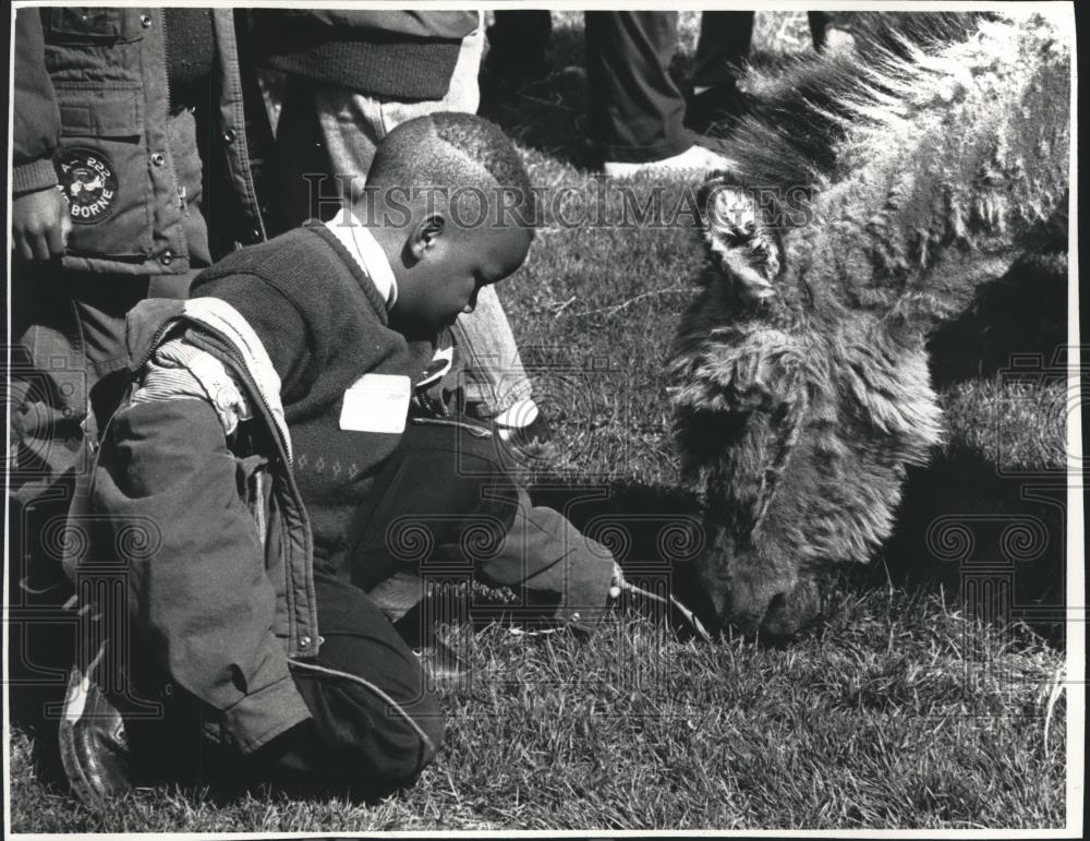 1992 Press Photo Antonio Randolph feeding grass to a miniature donkey, Wisconsin - Historic Images