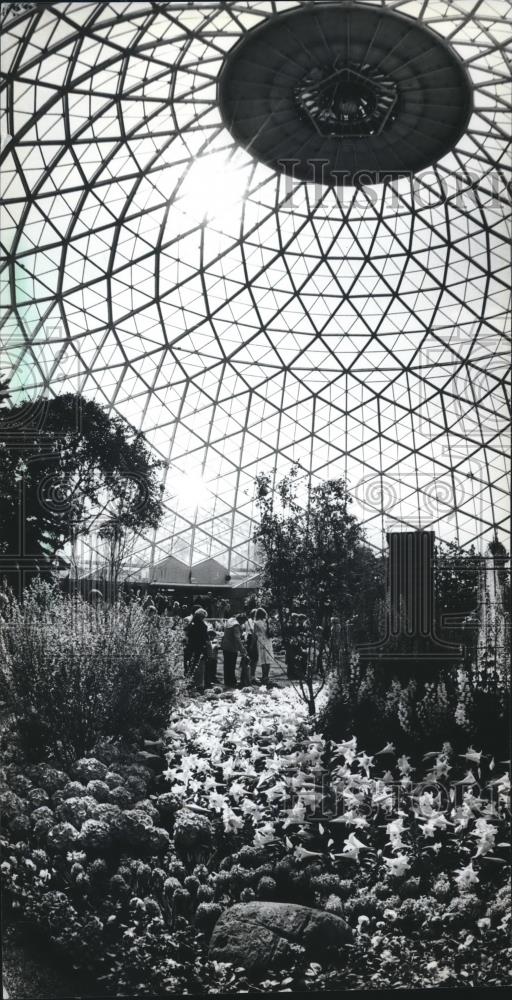 1982 Press Photo The Easter flower show at Mitchell Park Conservatory - Historic Images