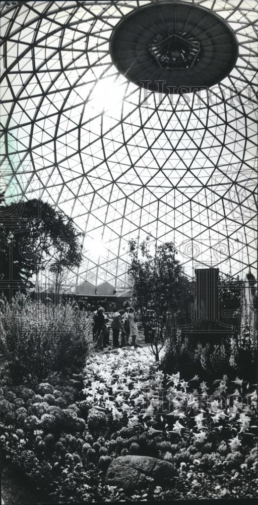 1982 Press Photo The Easter flower show at Mitchell Park Conservatory - Historic Images