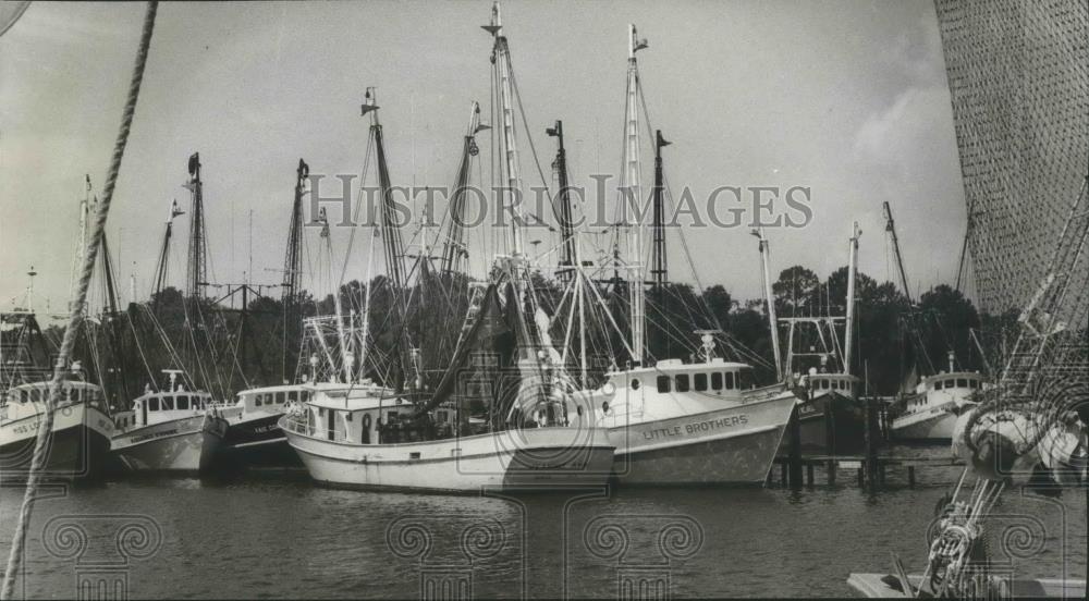 1978 Press Photo Alabama-Boats of Bon Secour Industries Shrimp. - abna06782 - Historic Images