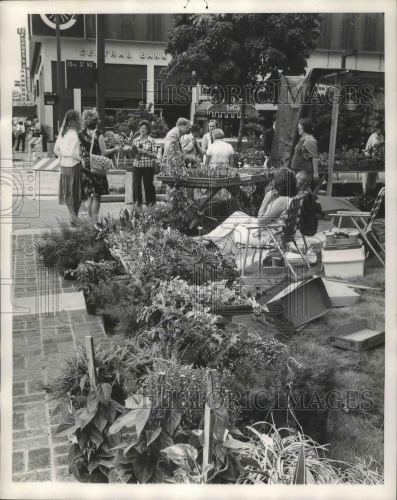 1978 Press Photo Birmingham, Alabama Green - abna07909 - Historic Images