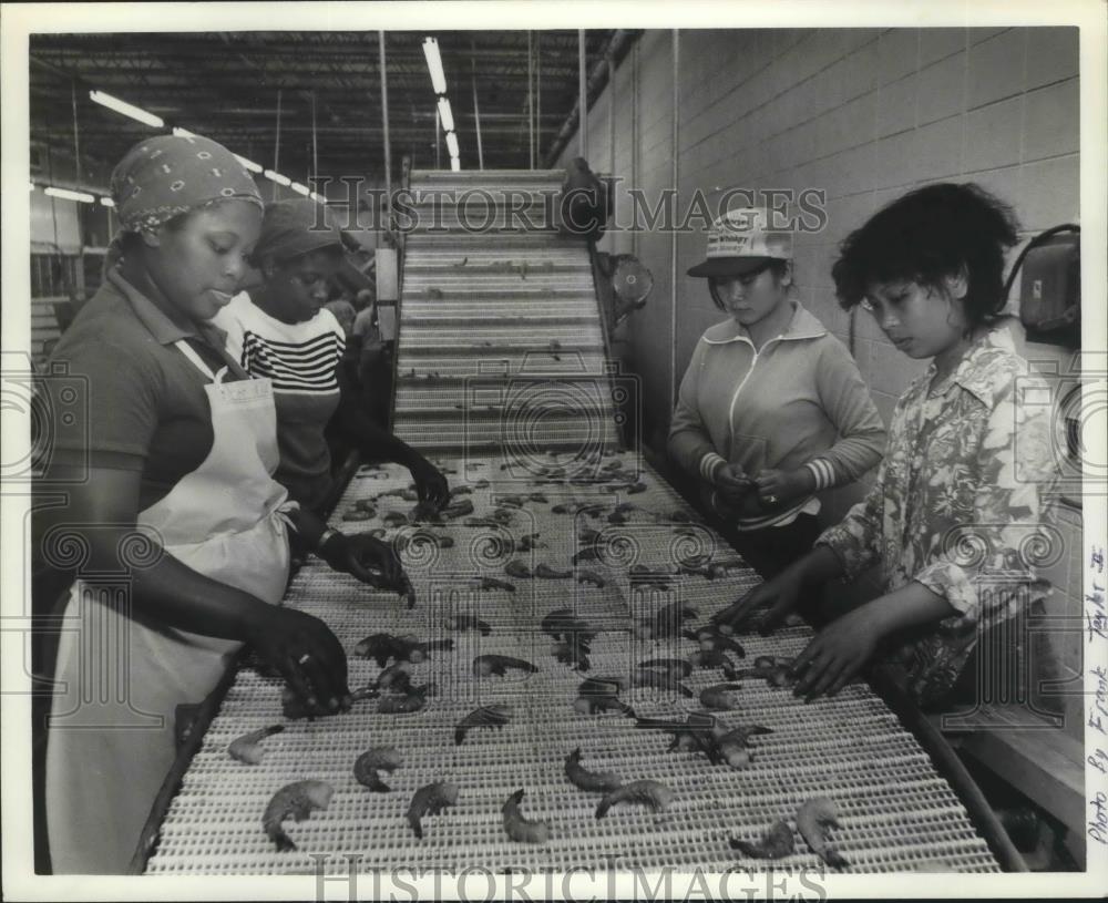 1984 Press Photo Alabama-Bayou La Batre, Workers process shrimp at church plant. - Historic Images