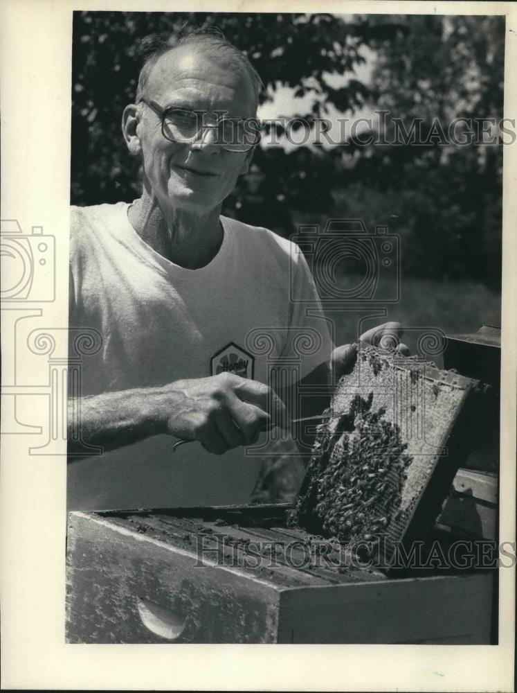1983 Press Photo Walter Diehnelt working beehive, Honey Museum, Wisconsin - Historic Images