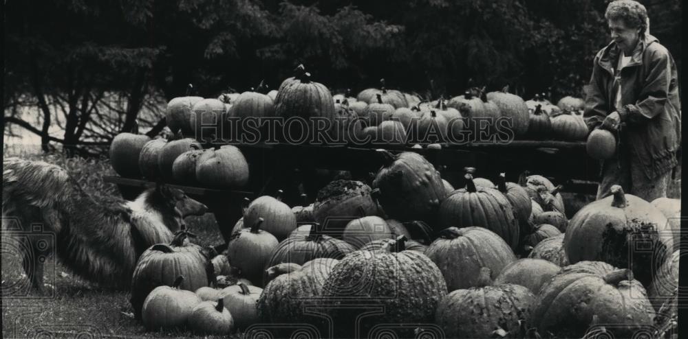 1992 Press Photo Delores Lueder checks the pumpkins at the Lueder Dairy Farm - Historic Images